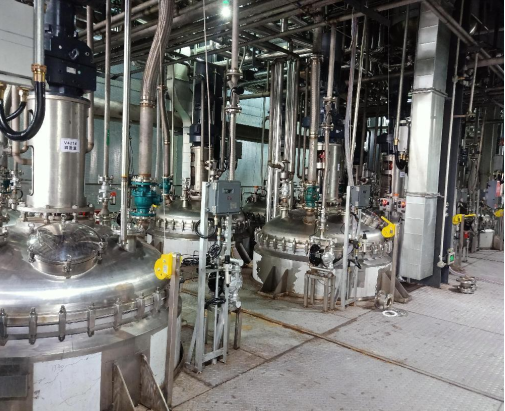 1702021538714942.jpg 1702021539614.jpg